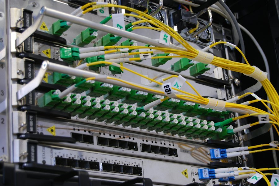 Cables de fibra óptica conectados a un equipo de red
